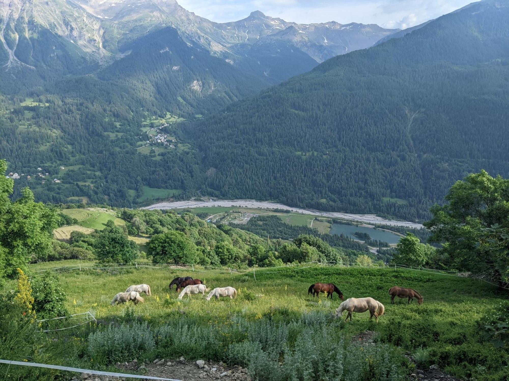 Gite Du Bois De L'Ours Orcières Dış mekan fotoğraf